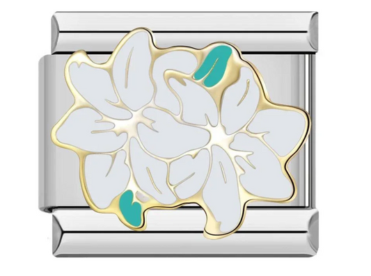 Flor Blanca