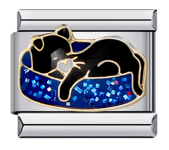 Gato durmiendo plata