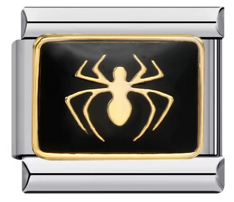 Logo Spider