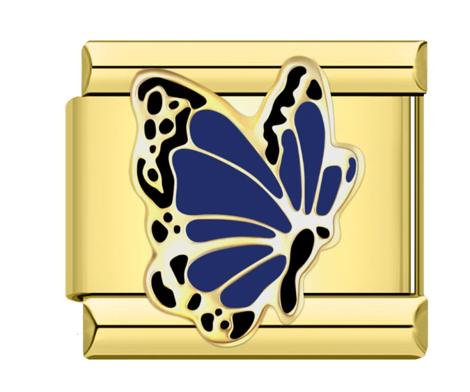 Mariposa Azul