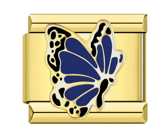 Mariposa Azul